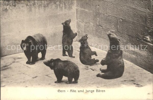 Baeren Bern Bärengraben