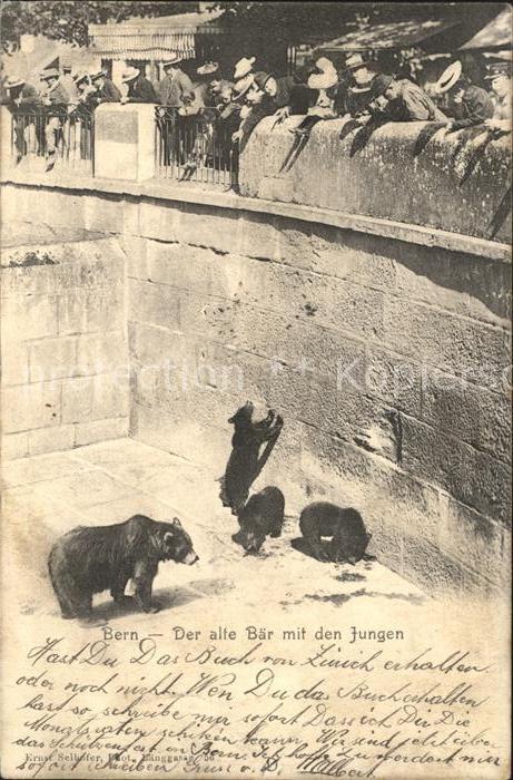 Baeren Bern Bärengraben