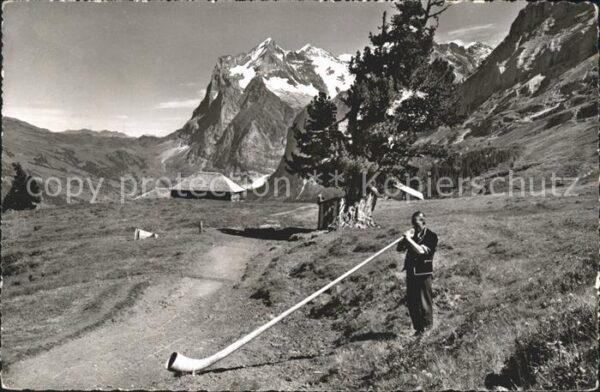 Alphorn Alphornbläser Wetterhorn