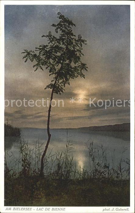 Foto Gaberell J. Nr. 9935 Bielersee Lac de Bienne