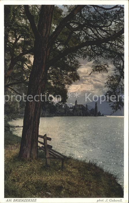 Foto Gaberell J. Nr. 7024 Brienzersee