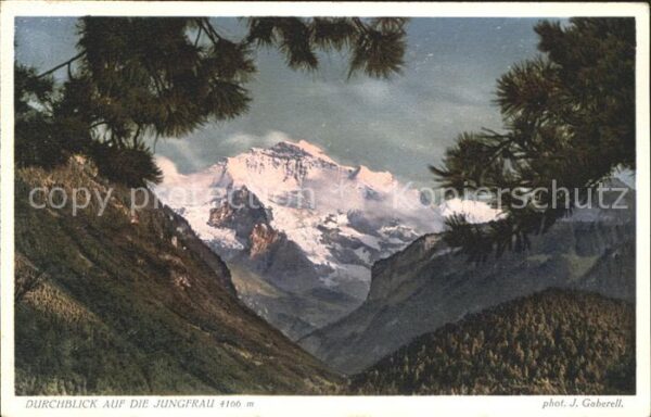 Foto Gaberell J. Nr. 4358 Jungfrau