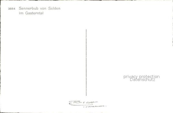 Kuehe Sennerbub Selden Gasterntal – Bild 2