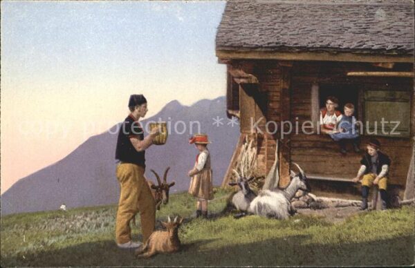 Ziege Alm Senn Familie