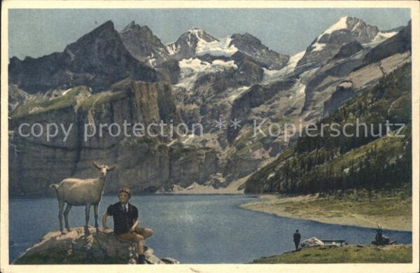 Ziege Sennenbub Kandersteg Oeschinensee Blüml