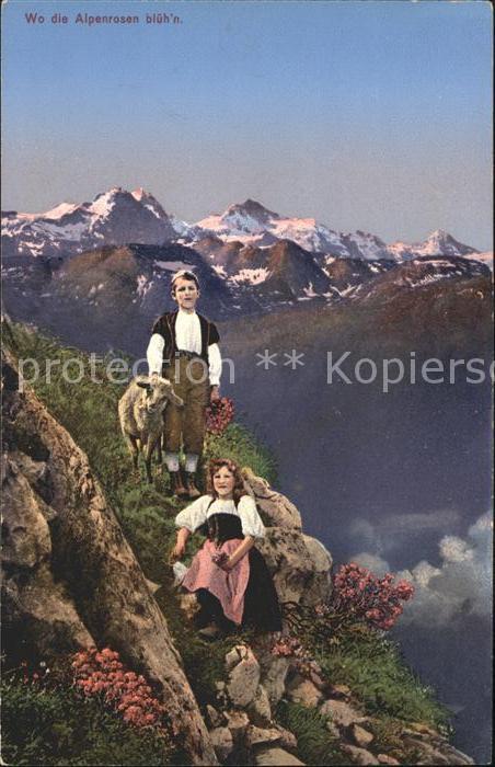 Schafe Kinder Sennenbub Alpenrosen