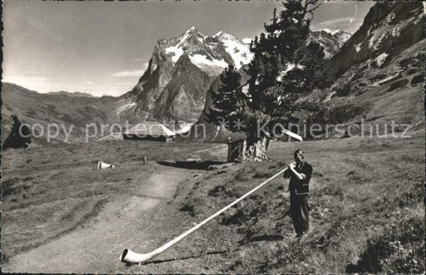 Alphorn Alphornbläser Wetterhorn