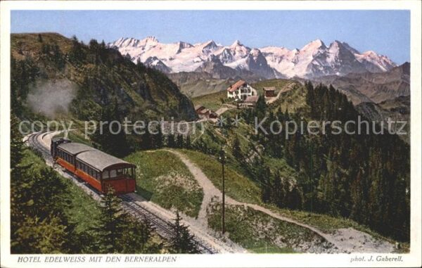 Foto Gaberell J. Nr. 10648a Hotel-Pension Edelweiss Berneral