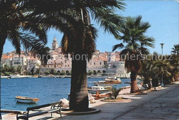 Korcula Hafenpartie Palmen