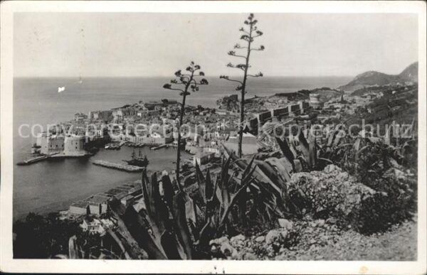Dubrovnik Ragusa Blick auf die Altstadt Hafen