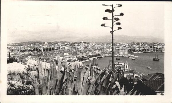 Split Spalato Panorama Hafen