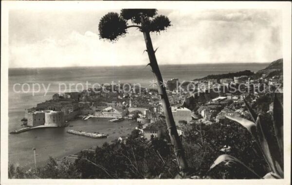 Dubrovnik Ragusa Panorama Festung
