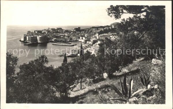 Dubrovnik Ragusa Panorama Hafen Festung