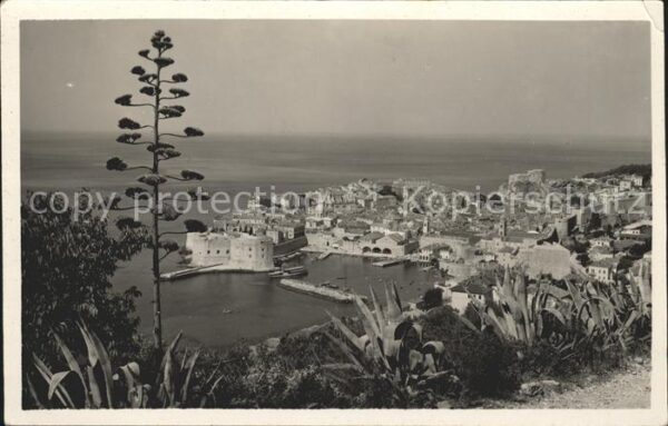 Dubrovnik Ragusa Panorama Blick auf Altstadt und Hafen