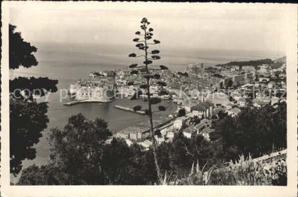 Dubrovnik Ragusa Panorama Hafen Altstadt Festung