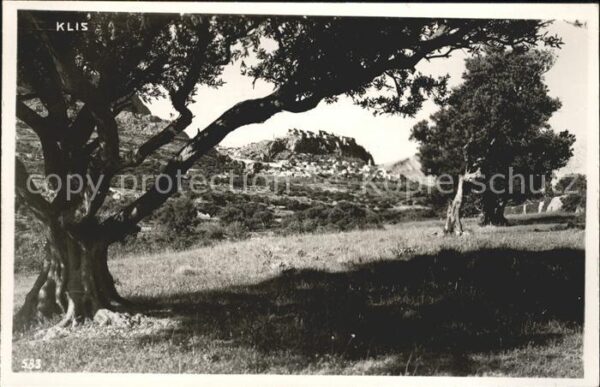 Klis Landschaft Alter Baum
