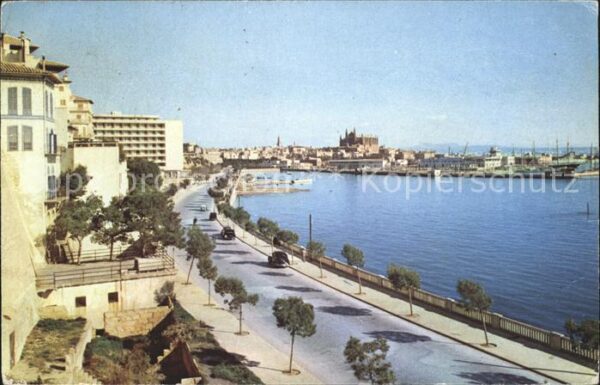 Mallorca Paseo Martimo Puerto Catedral