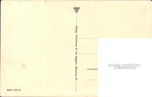 Schwan Schwäne Versammlung H. v. Seggern – Bild 2