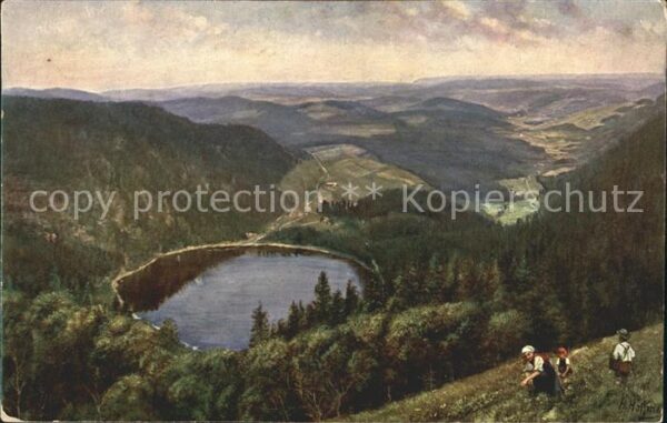 Hoffmann Heinrich Feldberg-Seebuck Feldsee
