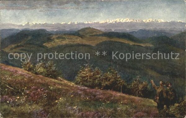 Hoffmann Heinrich Feldberg Herzogenborn Alpenkette