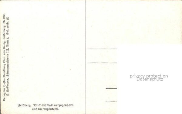 Hoffmann Heinrich Feldberg Herzogenborn Alpenkette – Bild 2