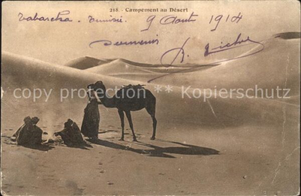 Kamel  Camel Chameau Typen Campement au Desert