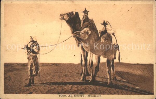 Kamel  Camel Chameau Desert Musicien