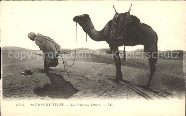 Kamel  Camel Chameau Priere au Desert Scenes et Types