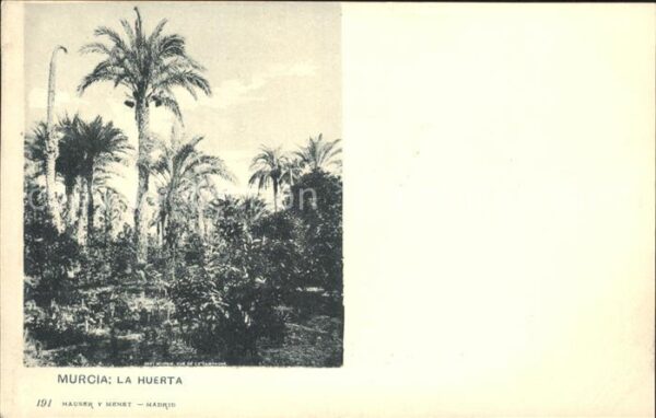 Verlag Hauser Y Menet Nr. 191 Murcia La Huerta