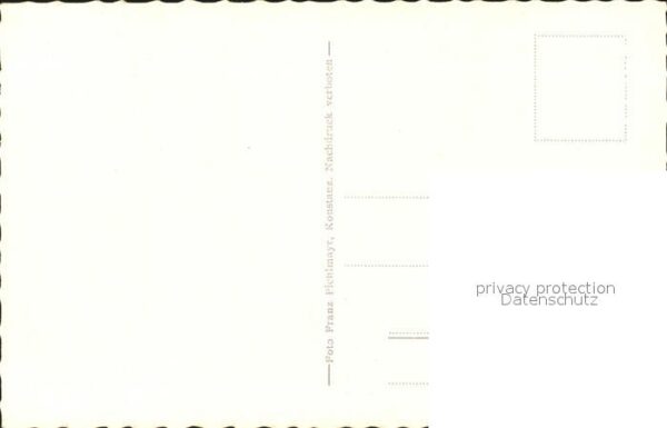 Schwan Schwäne Bodensee – Bild 2