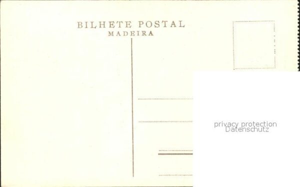 Trachten Madeira Costumes Gitarren – Bild 2