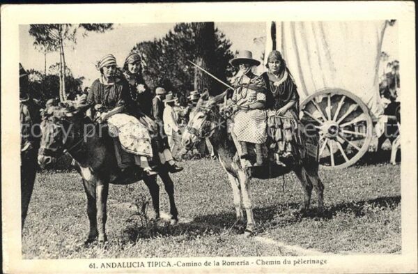 Esel Tiere Andalucia Tipica Camino de la Romeria