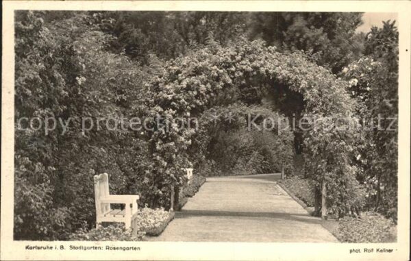 Foto Kellner Rolf Nr. 872 Karlsruhe Stadtgarten Rosengarten