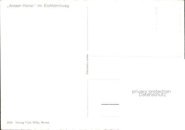 Eichhoernchen Arosa Eichhörnliweg – Bild 2