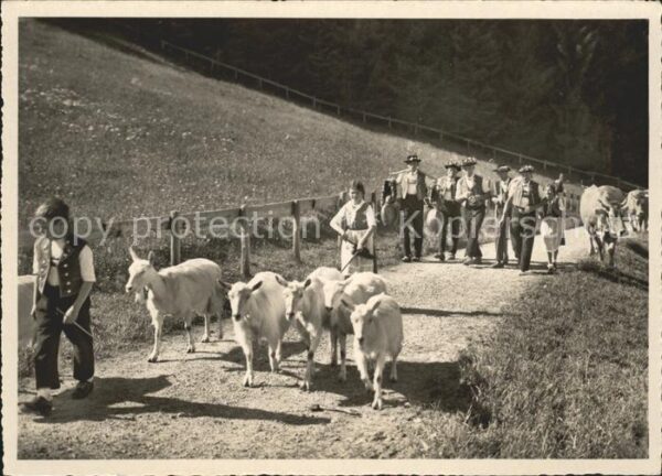 Ziege Kühe Alp-Aufzug Trachten Trychle