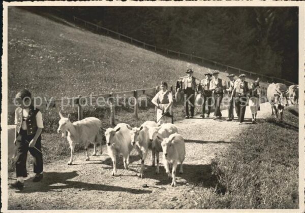 Ziege Kühe Alp-Aufzug Trychle