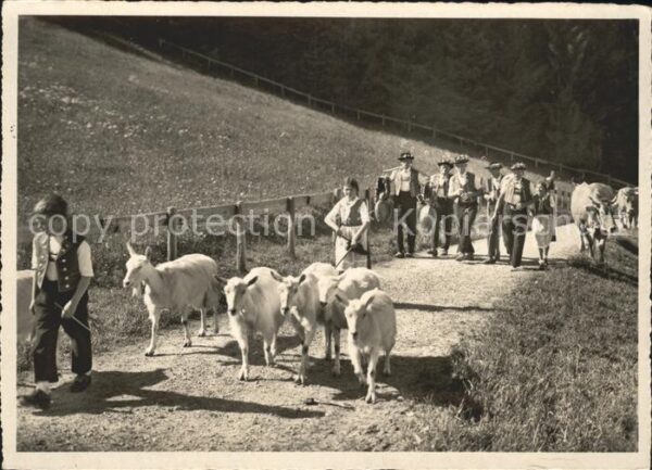Ziege Kühe Alp-Aufzug Trychle