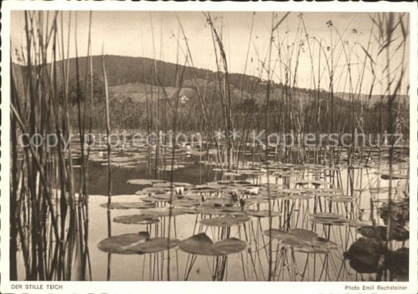 Foto Rechsteiner Emil Der stille Teich Serie 10 Nr. 235