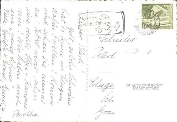 Schwan Schwanenfamilie Zürich – Bild 2
