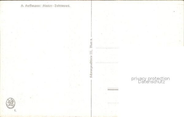 Hoffmann Heinrich Hinter-Todtmoos – Bild 2