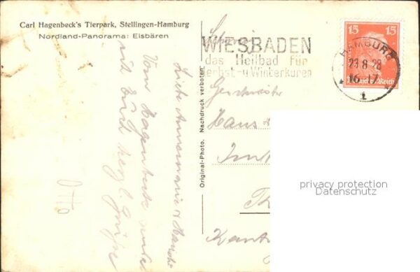 Eisbaer Carl Hagenbeck's Tierpark Stellingen-Ha – Bild 2