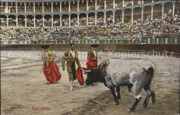 Stierkampf Estocada Matador
