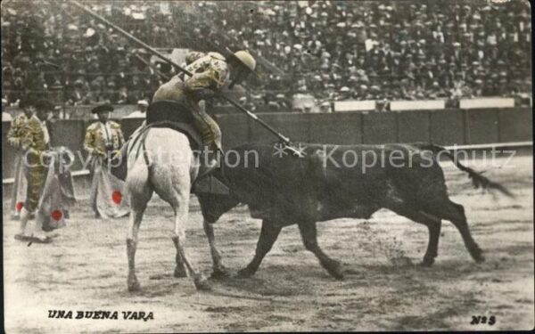 Stierkampf Picador