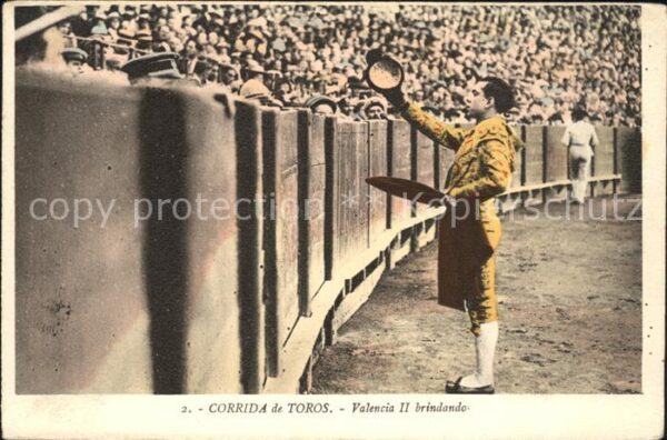 Stierkampf Corrida de Toros Valencia II brindando