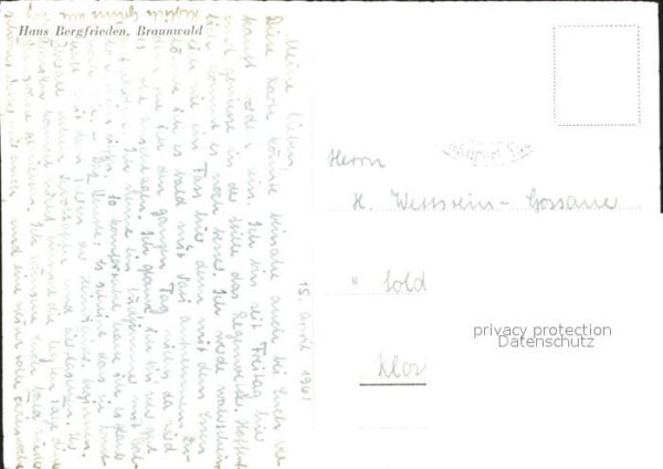 Bernhardiner Hundekarren Braunwald – Bild 2