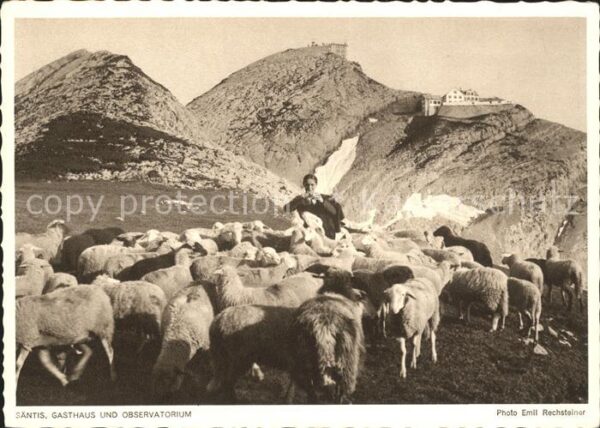 Foto Rechsteiner Emil Serie 10 Nr. 237 Säntis Gasthaus und Ob