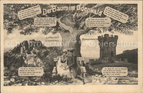 Baeume Trees Der Baum im Odenwald Lindenfels Bismarc