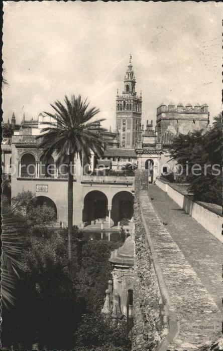 Sevilla Andalucia Giralda  Reales Alcazares