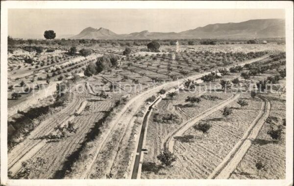 Spanien el Prado de arboles