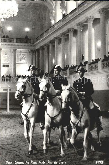 Pferdesport Pferderennen Reitsport Wien Spanische Reitschule Pas de Trois